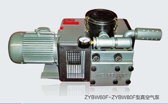ZYBW60F~ZYBW80F型无油真空气泵